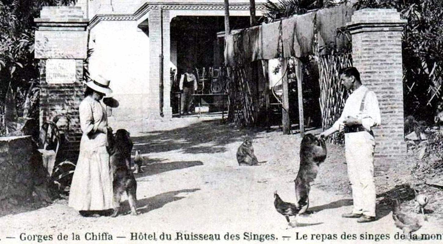 837- Blida - Gorges de la Chiffa - Hotel2.jpg
